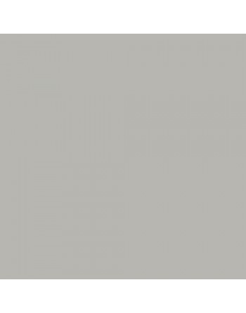 Płytki 10x10cm  podłogowe...